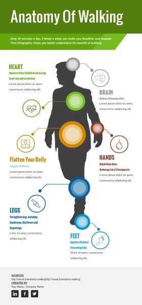 Anatomy-of-Walking---Infographic-Template.jpg