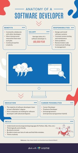 Anatomy-of-a-Software-Developer---Infographic-Template.jpg