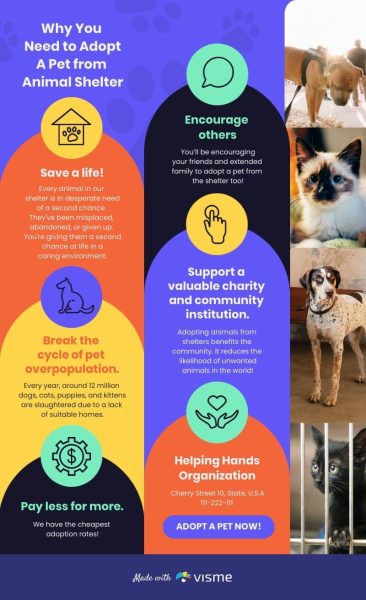 Animal-Shelter-Infographic-Template.jpg