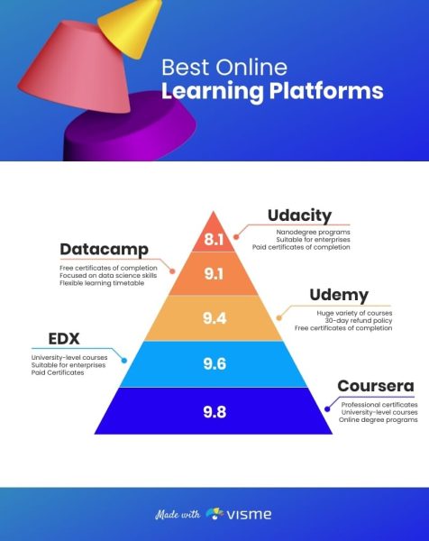 Best-Online-Learning-Platforms-Infographic-Template.jpg