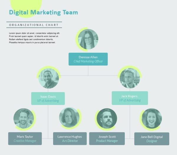 Digital-Marketing-Team---Infographic-Template.jpg
