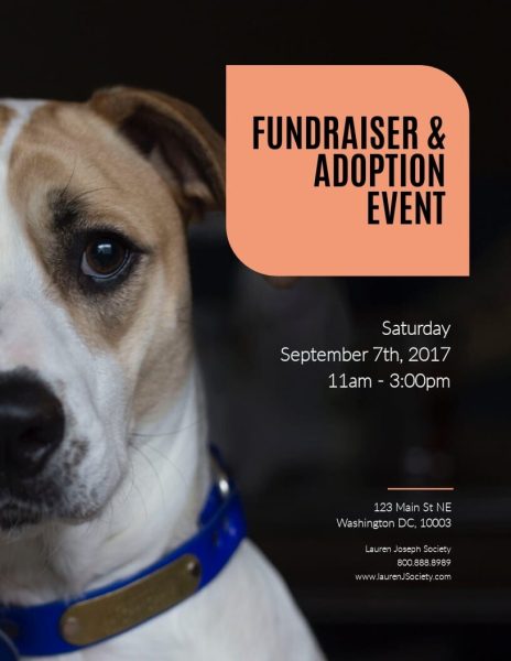 Fundraiser-Adoption-Event---Flyer-Template.jpg