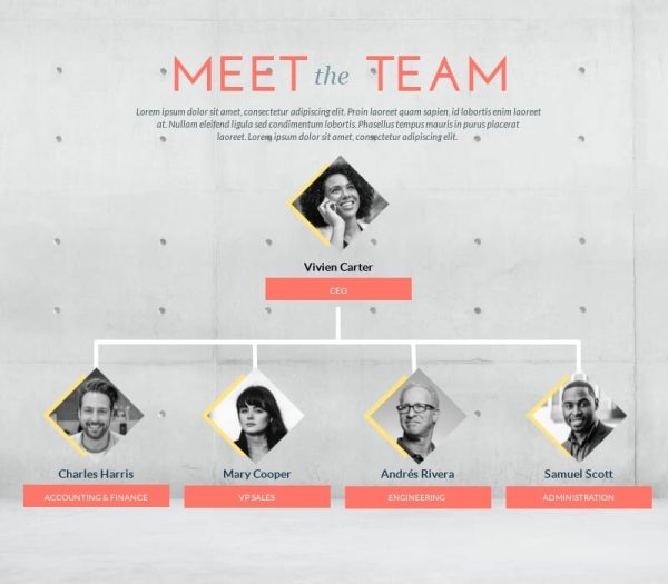 Small-Photographic-Organizational-Chart---Infographic-Template.jpg