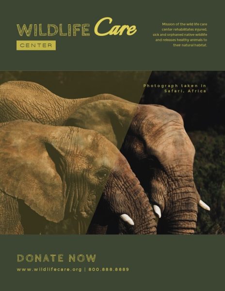 Wildlife-Care-Center---Flyer-Template.jpg