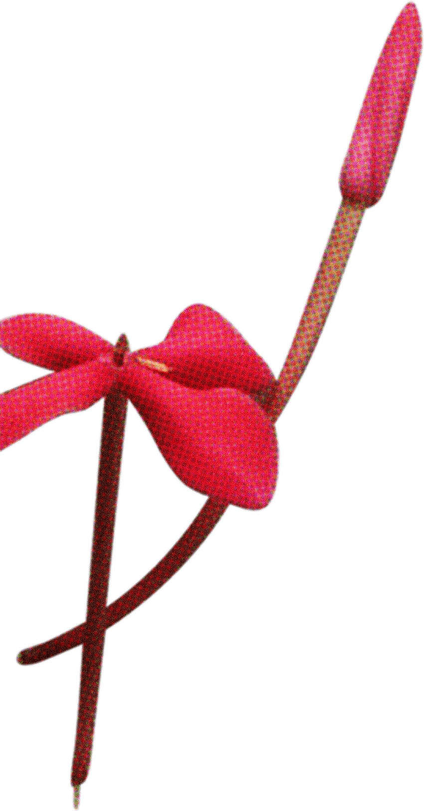 FLORAL19.png