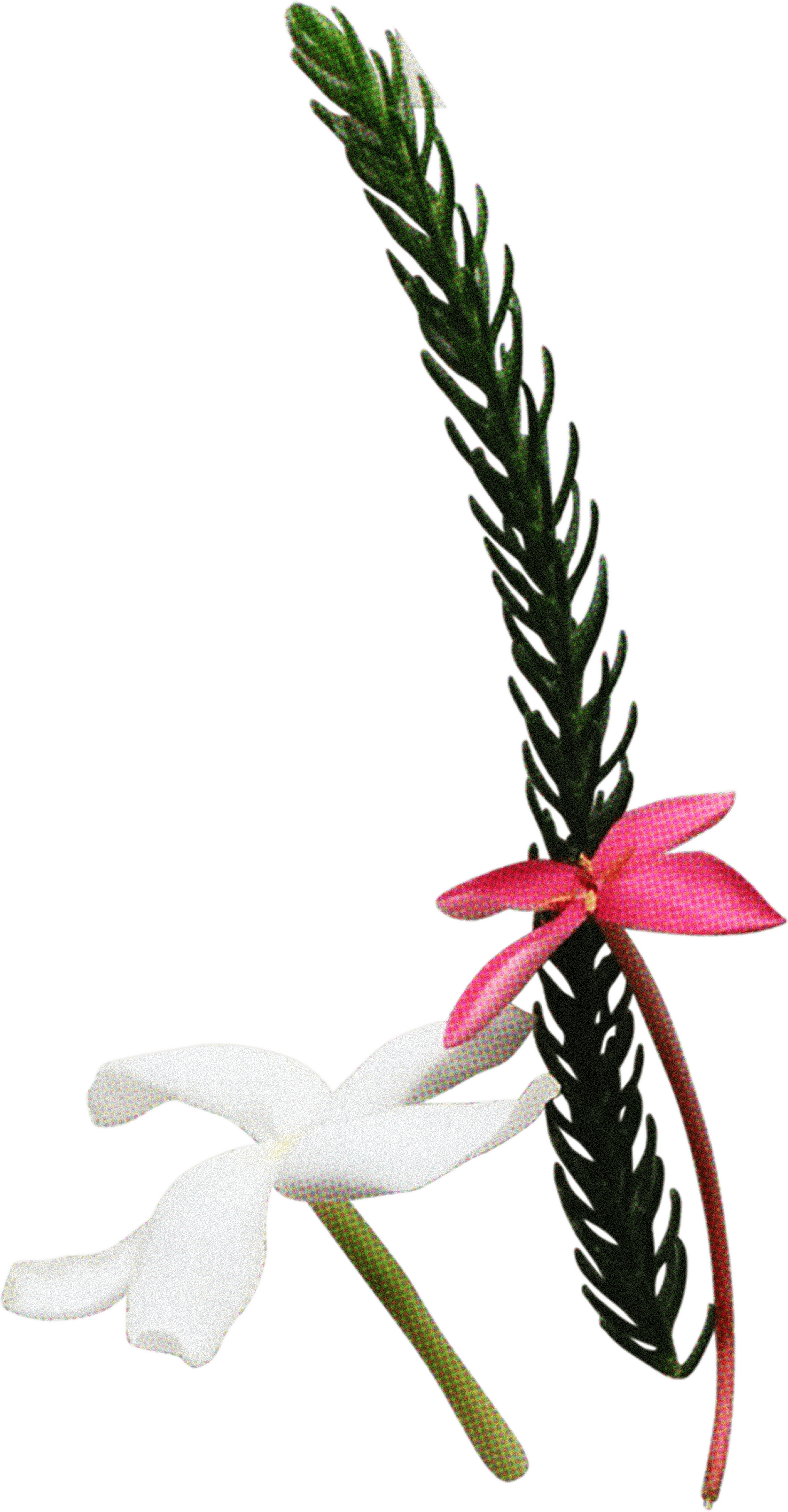 FLORAL23.png