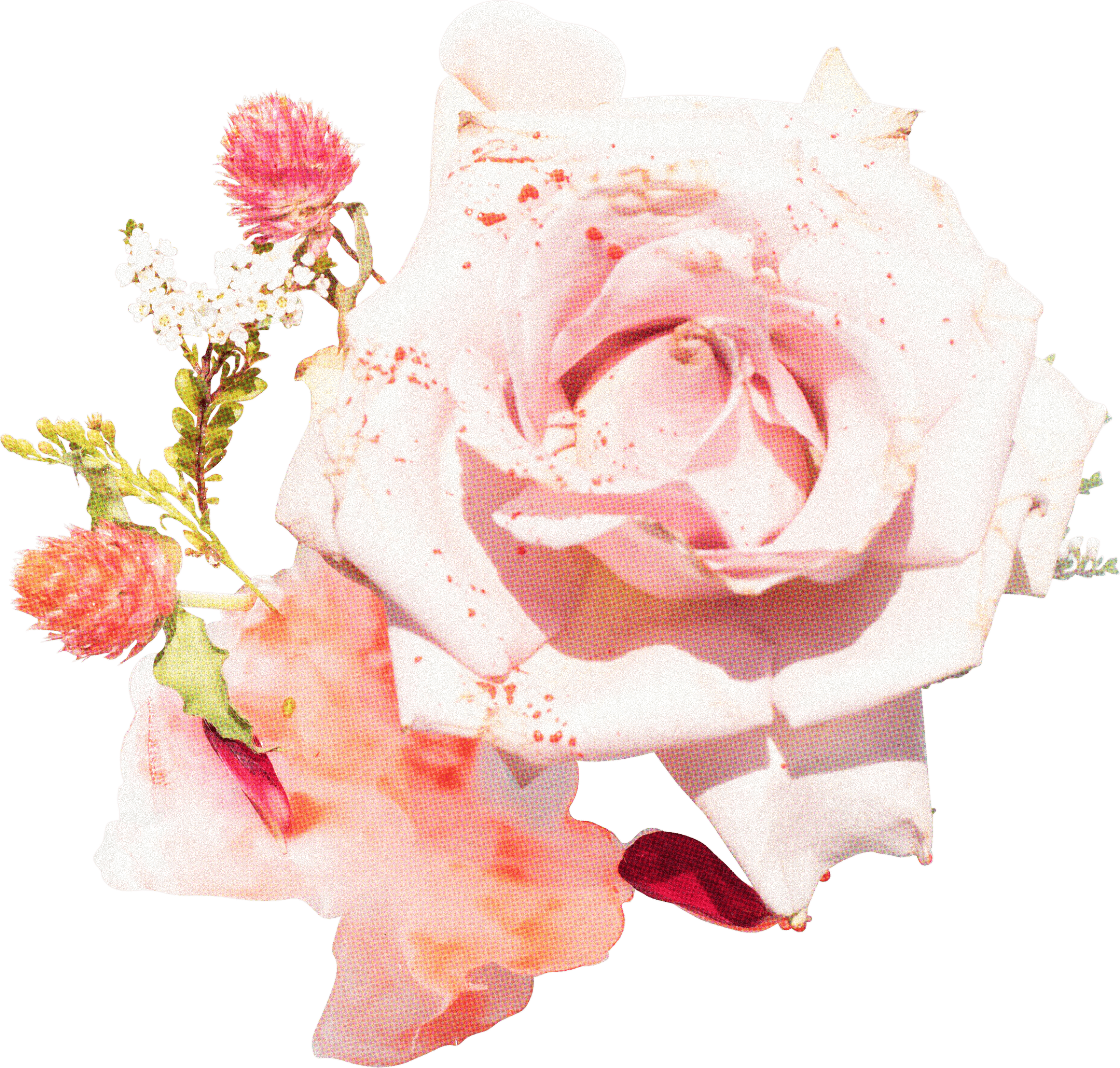 FLORAL5.png
