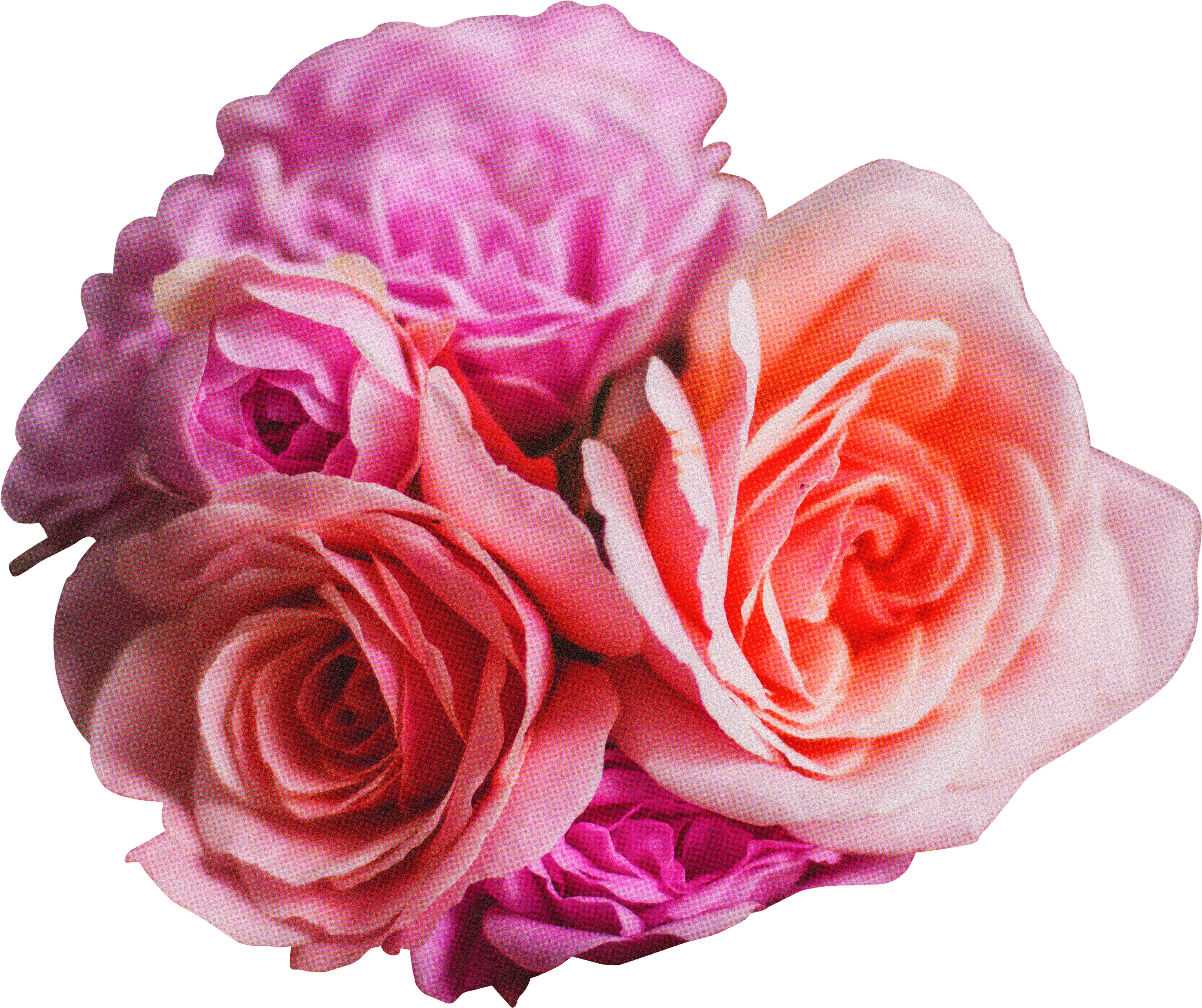 FLORAL51.png