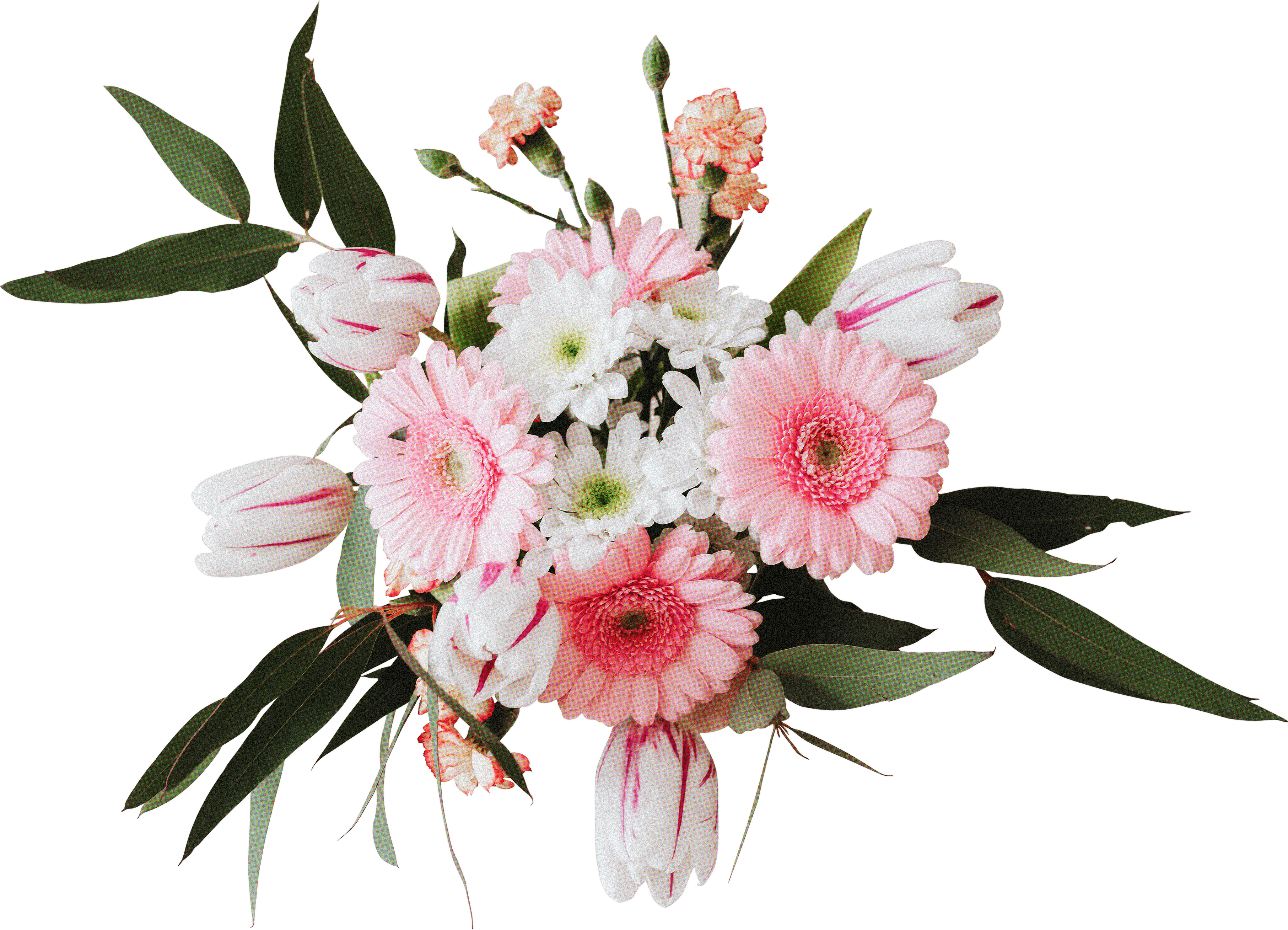 FLORAL62.png