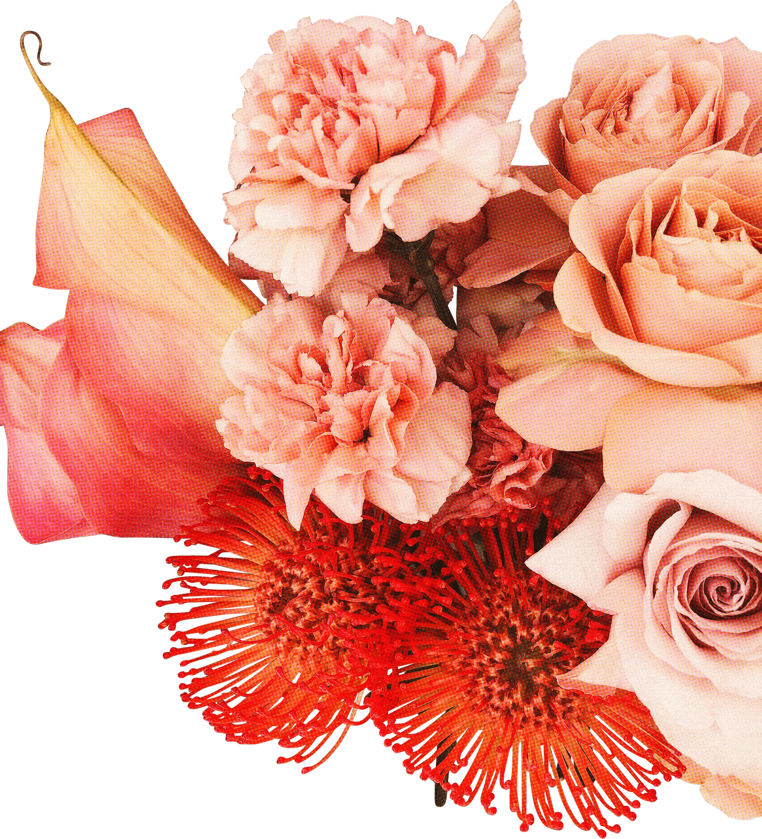 FLORAL67.png