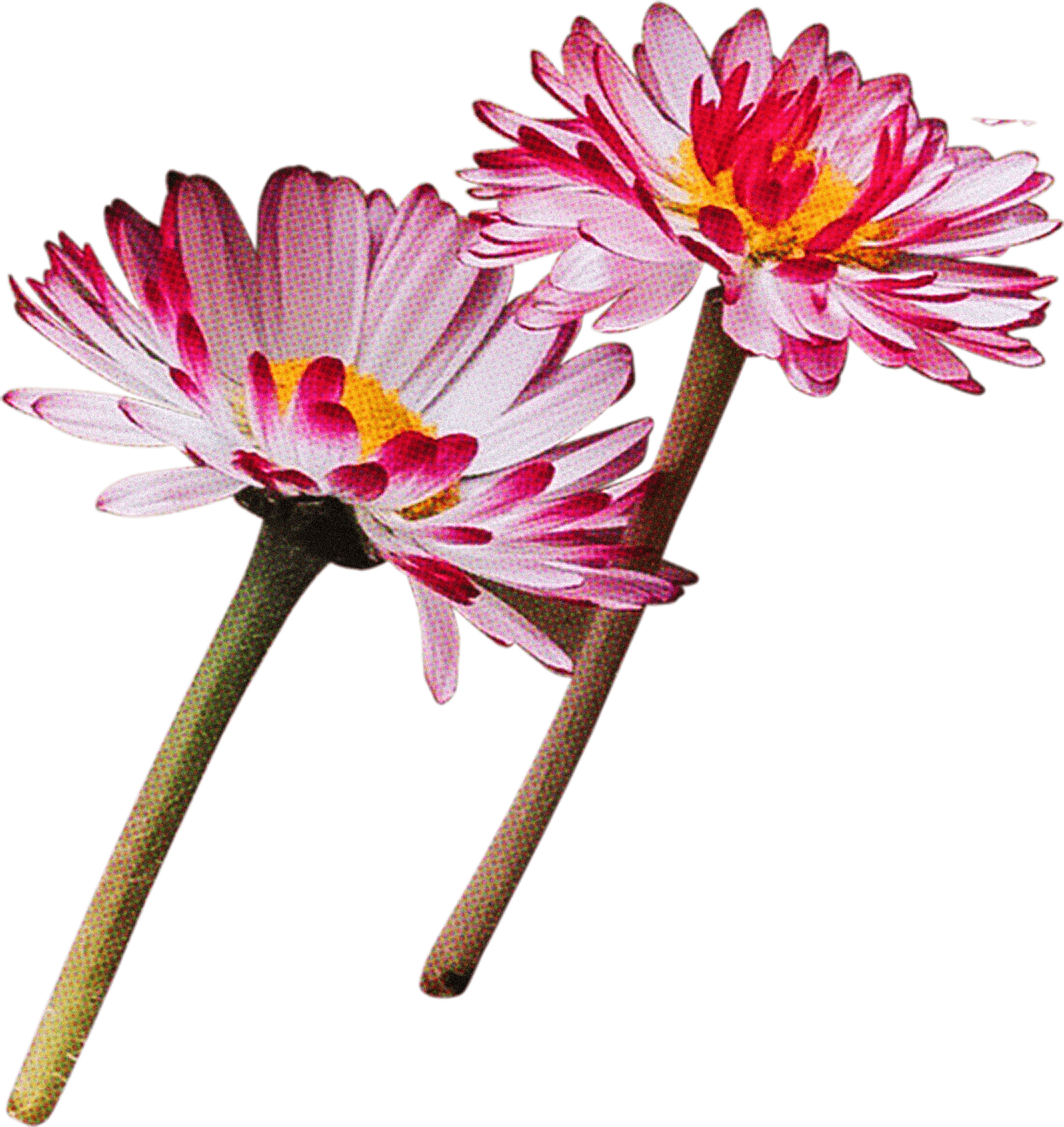 FLORAL8.png